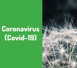Coronavirus