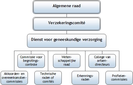 structuur RIZIV