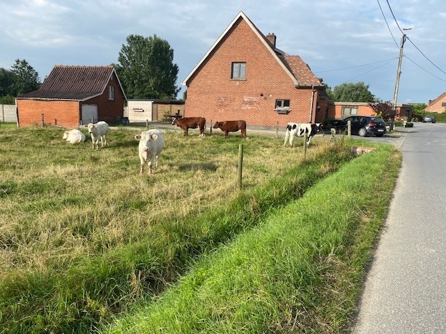 wandeltocht Tamara